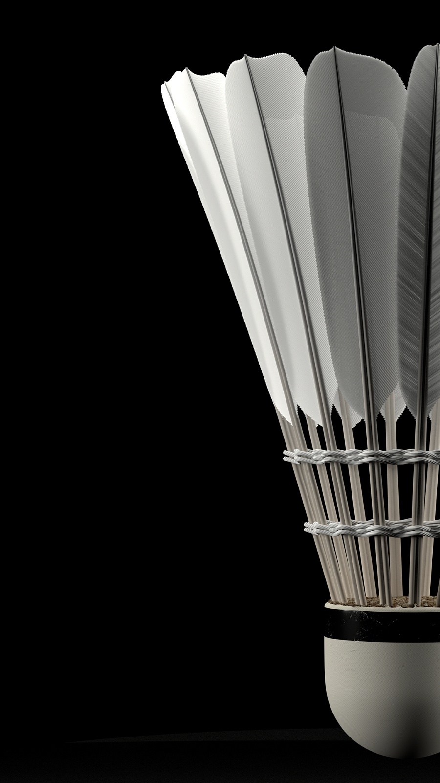 截然不同的 截然不同的